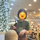 계산새로 | 계양 아이와 가볼만한 곳 앵무새카페 '리프패럿' 계양점 후기