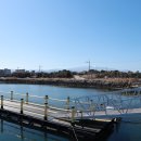 낚고락고 이미지