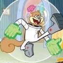 타이거 주짓수 이미지