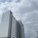 아로마 여인숙 | 하코다테 센츄리 마리나 호텔(century marina hotel hakodate) - 더블룸 후기