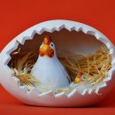 우리들 동물약품 이미지