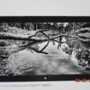 오행복한공인중개사사무소 이미지