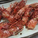 당근마차 이미지