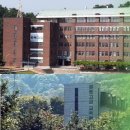 강동고등학교 이미지