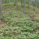 서석농장 이미지