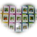 백산초교 이미지