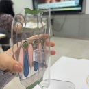 금천구립가산도서관 | [금천구립가산도서관]글라스 아트 화병 만들기 체험_벌거벗은 청년사 : 청년 DIY