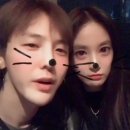 콰이 이미지