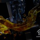 한스게러지 이미지