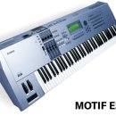 중고쟁이도 중독이다 / SC-88 / Motif rack ES