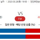 3월28일 남자배구 자료정보 이미지