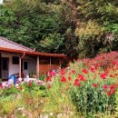 The 마실 이미지