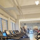 시너지 피트니스 이미지