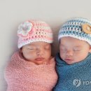 쌍둥이