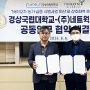 와이네트웍스 - 부산진구 중앙대로691번가길 13 | 와이네트웍스