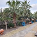 귤중옥 | [제주] 제주도 귤밭 가운데 독체펜션 귤중옥 연박 후기+가볼만한 곳