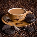 바리스타자격증 이미지