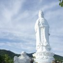 변*송