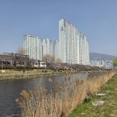 온천천일대7 이미지
