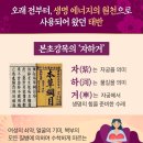 하나미 이미지