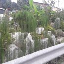 동충주농업협동조합 이미지