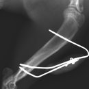 바우동물병원 이미지