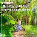 프라우드펫