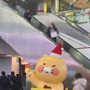 하나네집 | 마산역 맛집｜육전 맛집 하나네소국밥 재방문 후기