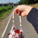 달려라 차차차 이미지