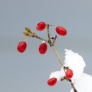 자비손한의원 이미지