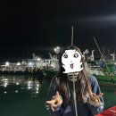 전남중학교 | 왕초보 인천 쭈꾸미낚시 후기 1편 낚시준비 - 해광유선 예약/가격/준비물/꿀팁