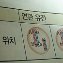 생물1 유전 단원 유전자와 염색체 학습 요령 Tip! 이미지