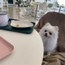 WITH DEW(윗듀) 이미지