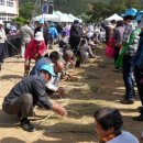 창수메밀영농조합법인 이미지