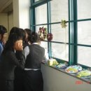 팔룡중학교 이미지