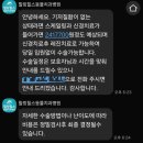 대성동물병원 | [내돈내산]강아지 이빨에 금니 씌운 썰 : 반려견 이빨 보존, 치과 치료 전문의를 찾아서