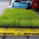 현대농자재 이미지