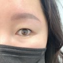 팽브로우 이미지