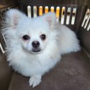 선부119안전센터 이미지