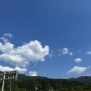 속초여행 동명항 오징어난전(3호 대경호)포장, 주차, 시세 /속초우니할머니 우니가격