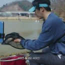 봄베씨네