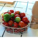 김은희농장 이미지