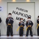 푸른합기도 이미지