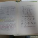 목리 이미지
