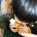 비자림빌리지1 이미지