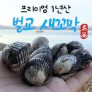 아이니즈 이미지