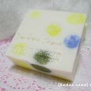 동그리솝 이미지