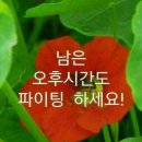 국장님 이미지