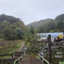 능전주차장 | [정선] 민둥산 은빛억새축제 돌리네 등산(능전코스, 민둥산한우촌)