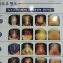 청담동라인한의원 이미지